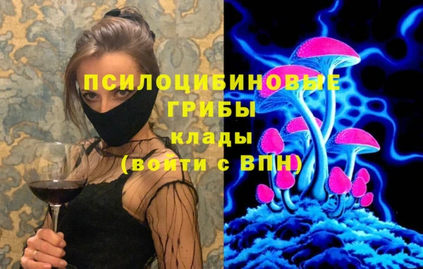 стаф Мегион