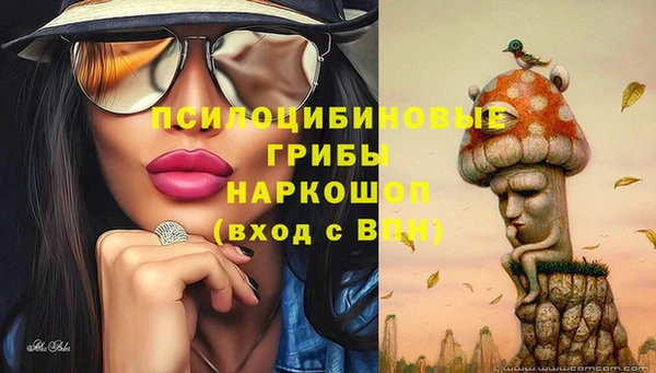 прущие крисы Медногорск