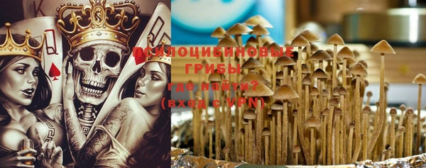 прущие крисы Медногорск