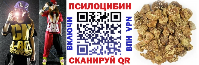 Псилоцибиновые грибы Cubensis  hydra ссылка  Харабали 